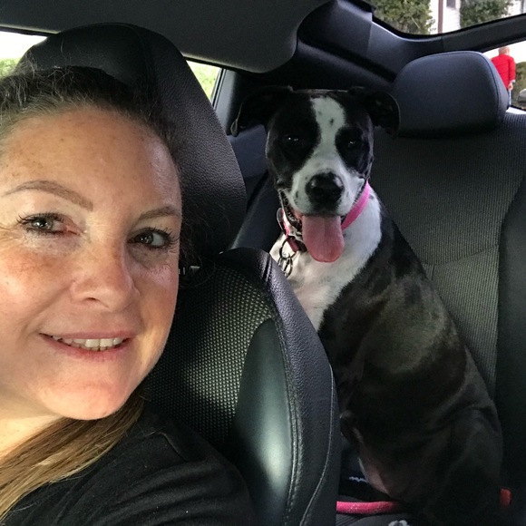 Meet your Posher, Gisela - Picture 3 of 7